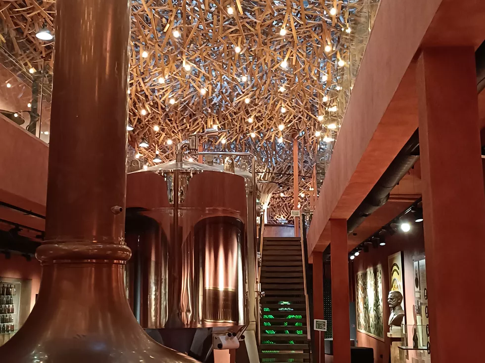 travel program image