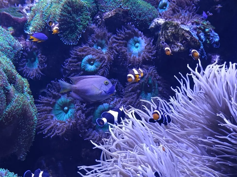 travel program image