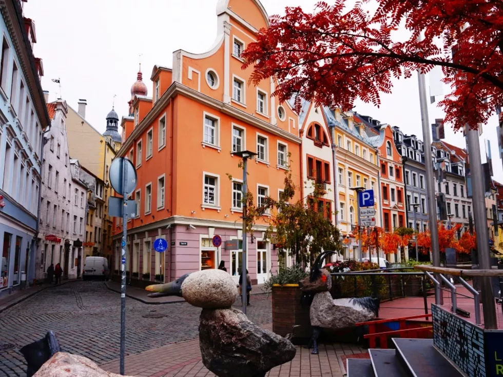 travel program image