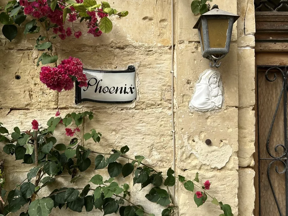 travel program image