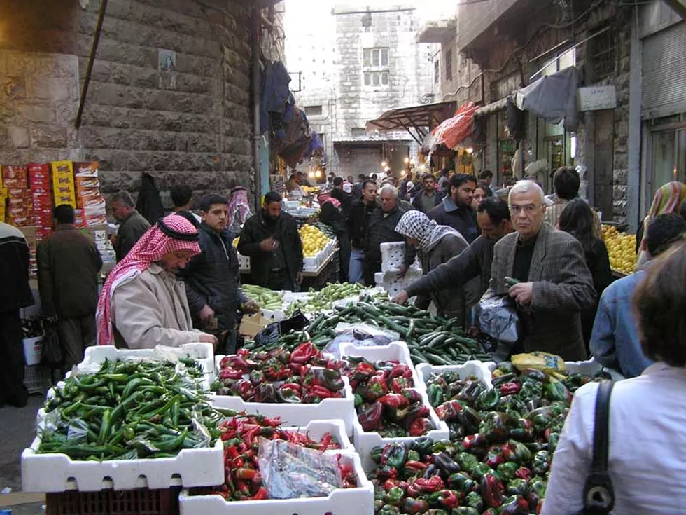 travel program image