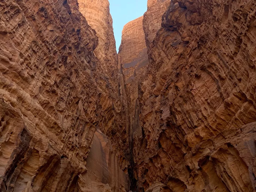 travel program image