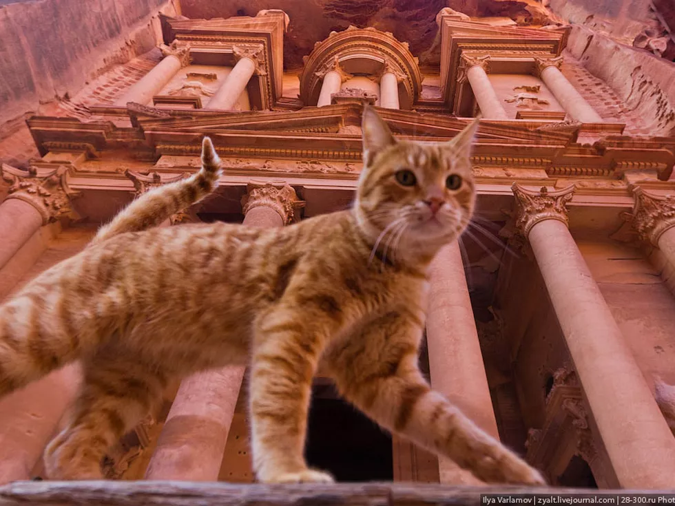 travel program image