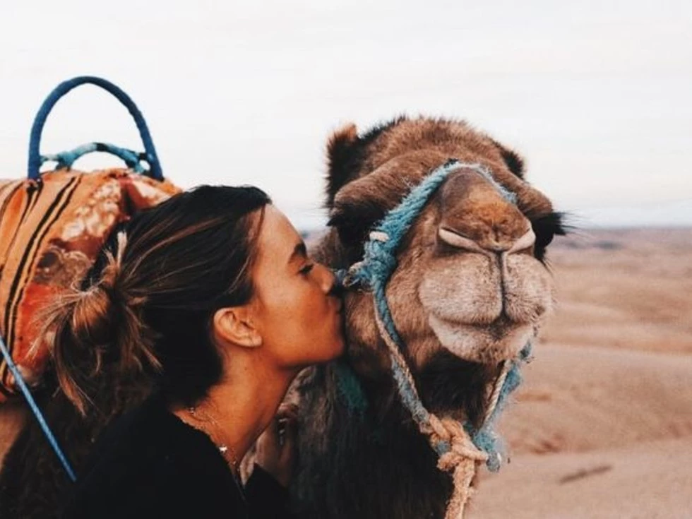 travel program image