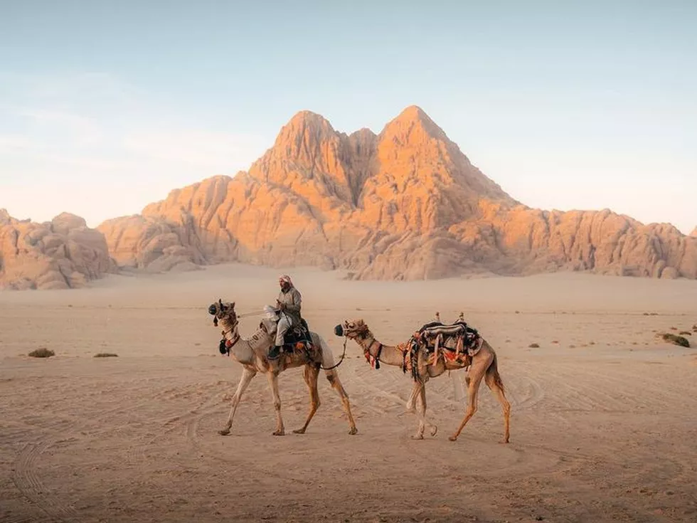 travel program image