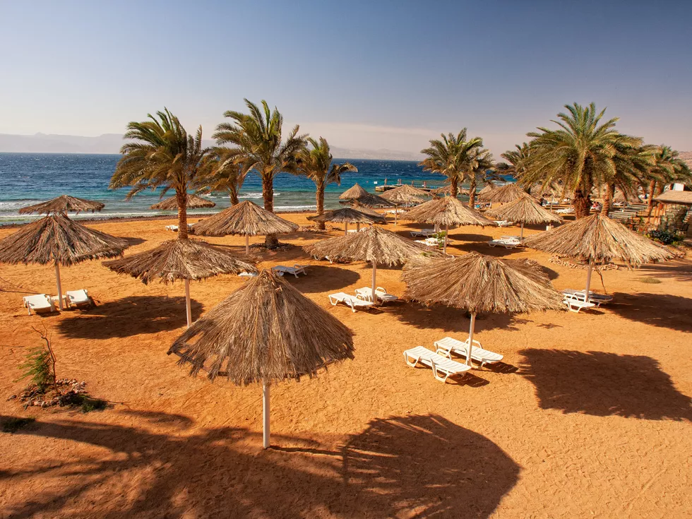 travel program image