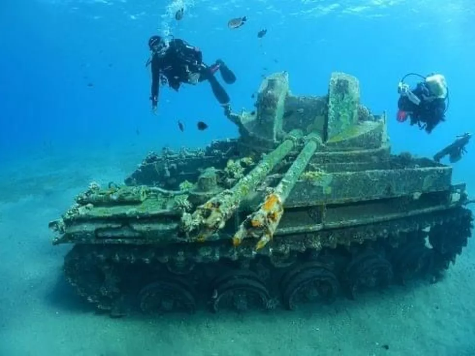 travel program image