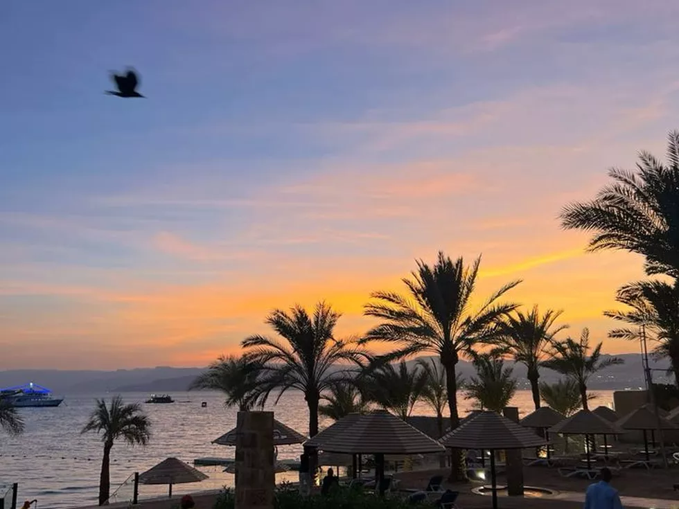 travel program image