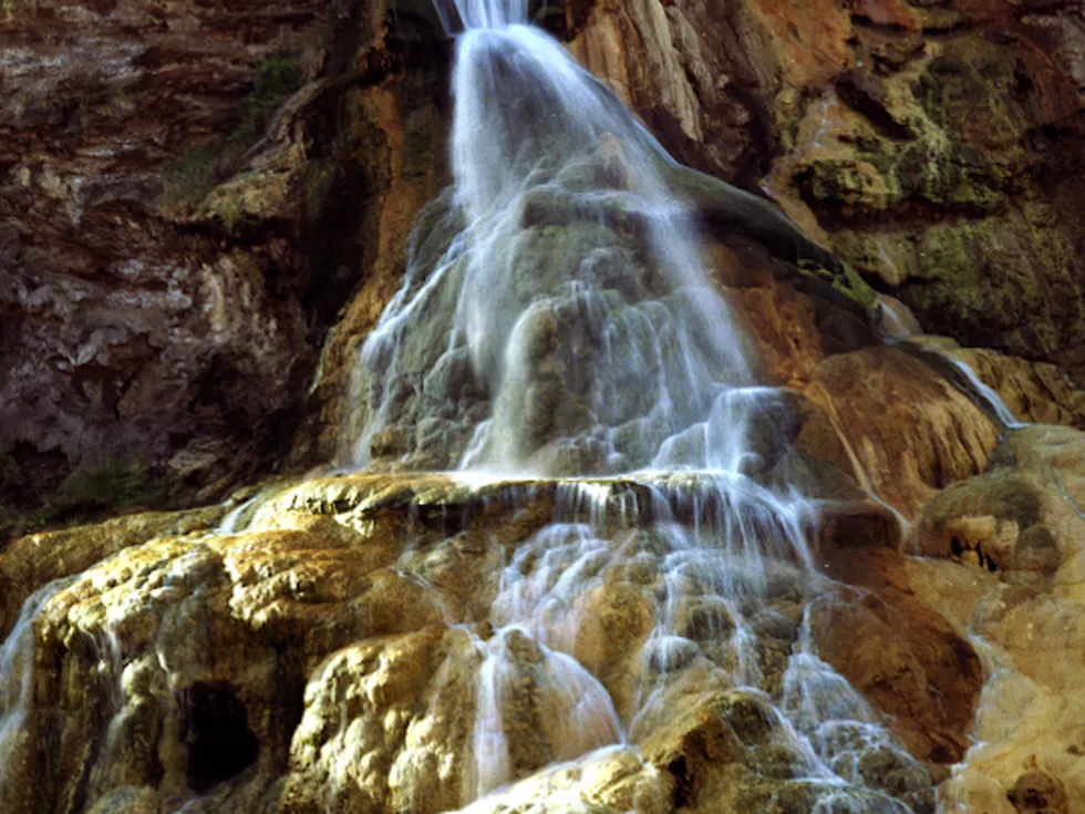 travel program image