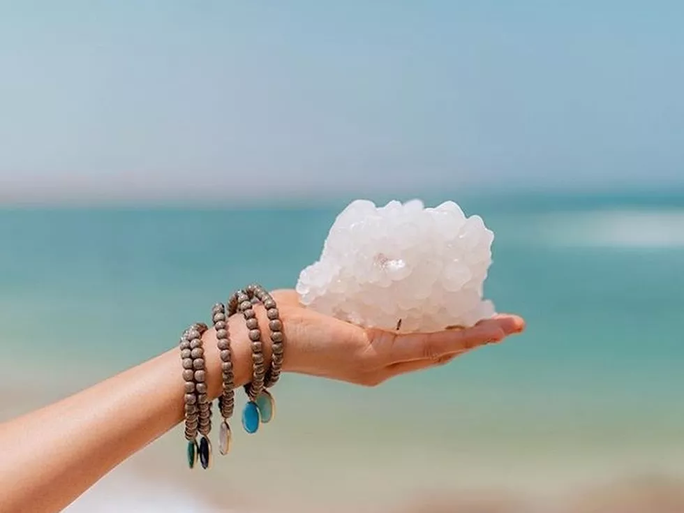 travel program image