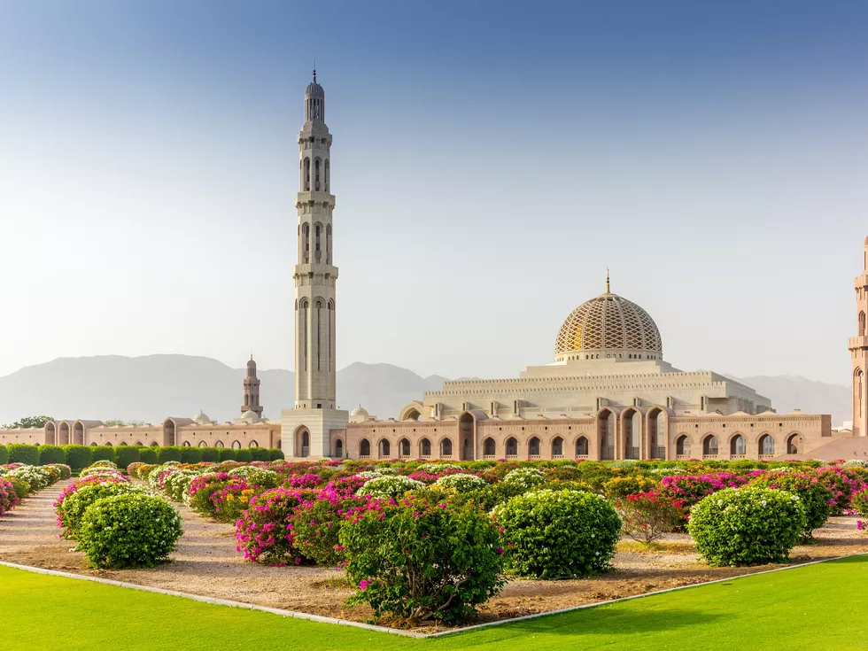 travel program image