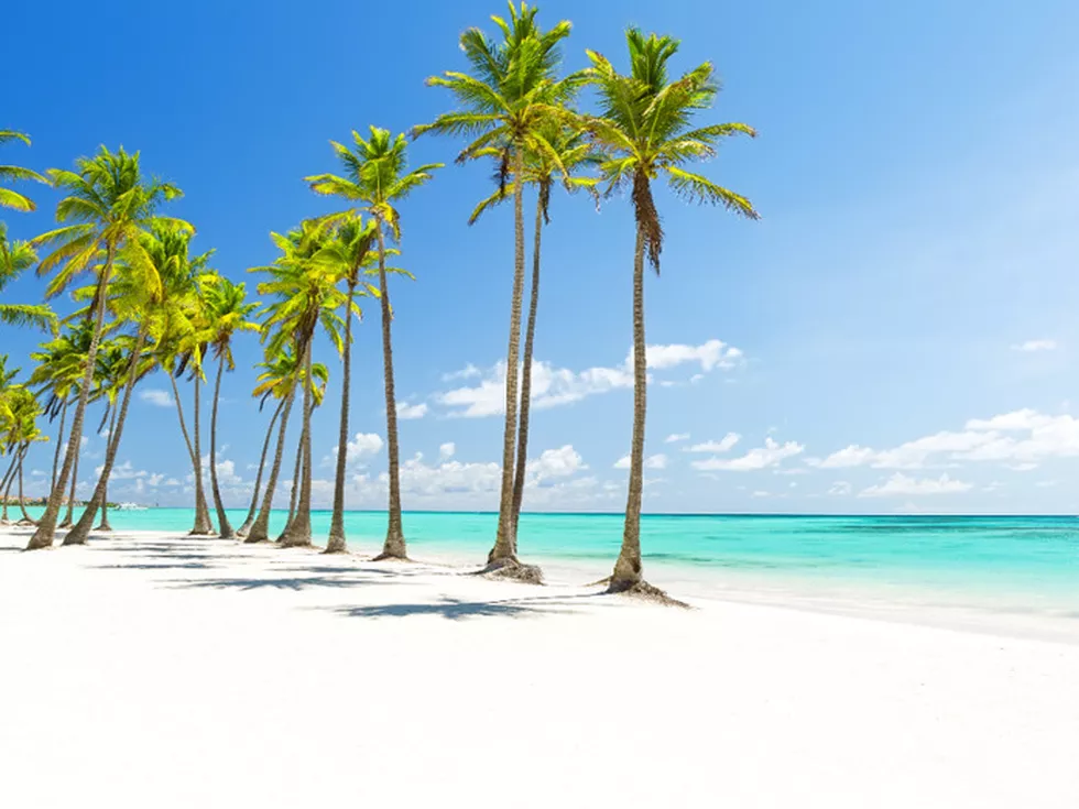 travel program image