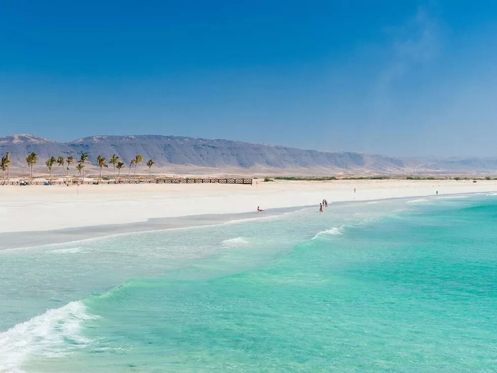 travel program image