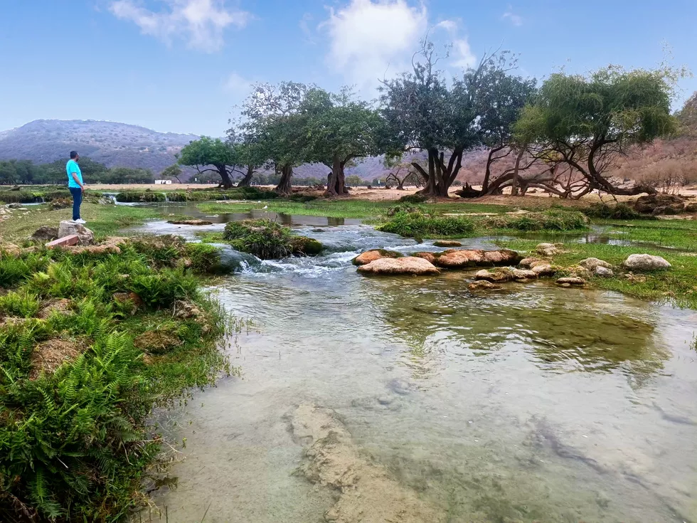 travel program image