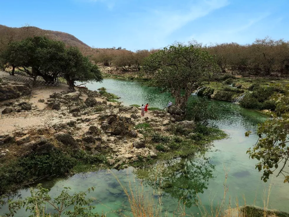 travel program image