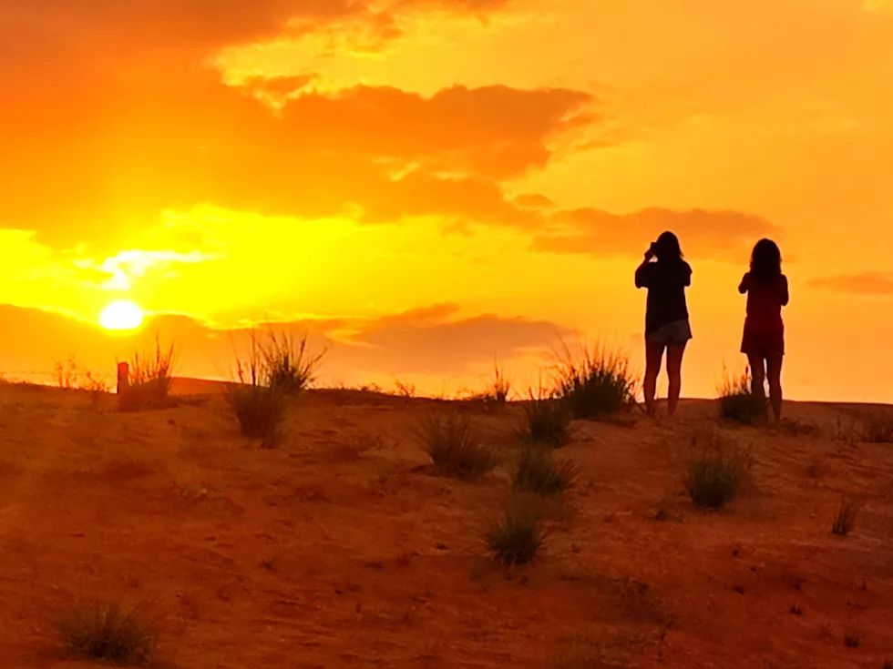 travel program image