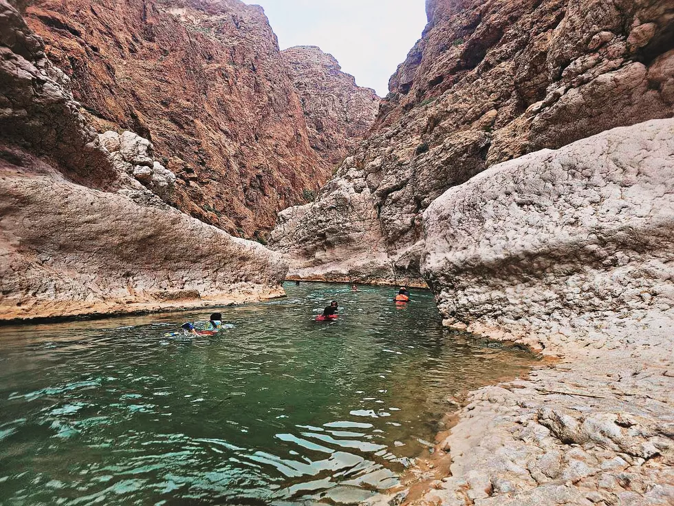 travel program image