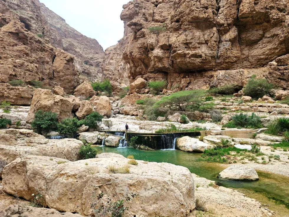 travel program image