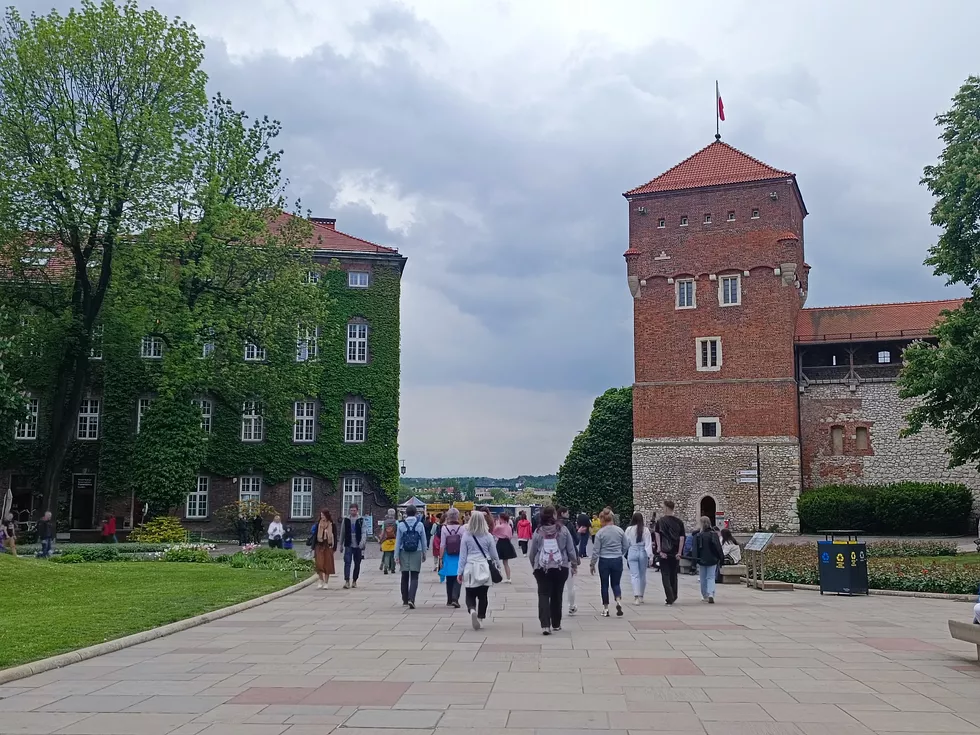 travel program image