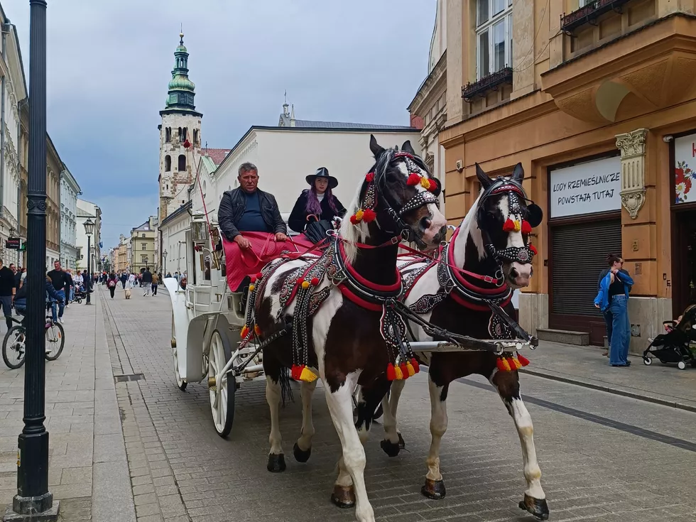 travel program image