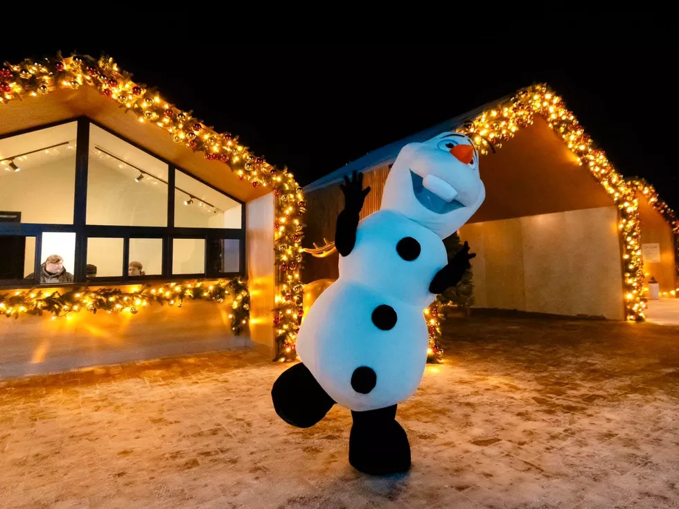 travel program image