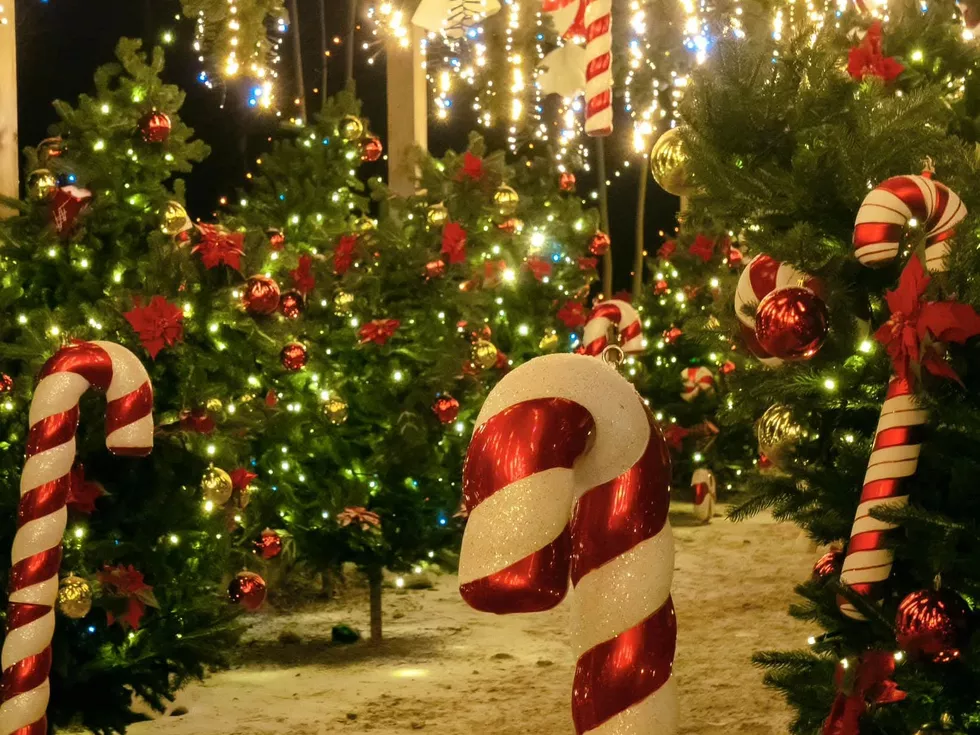 travel program image