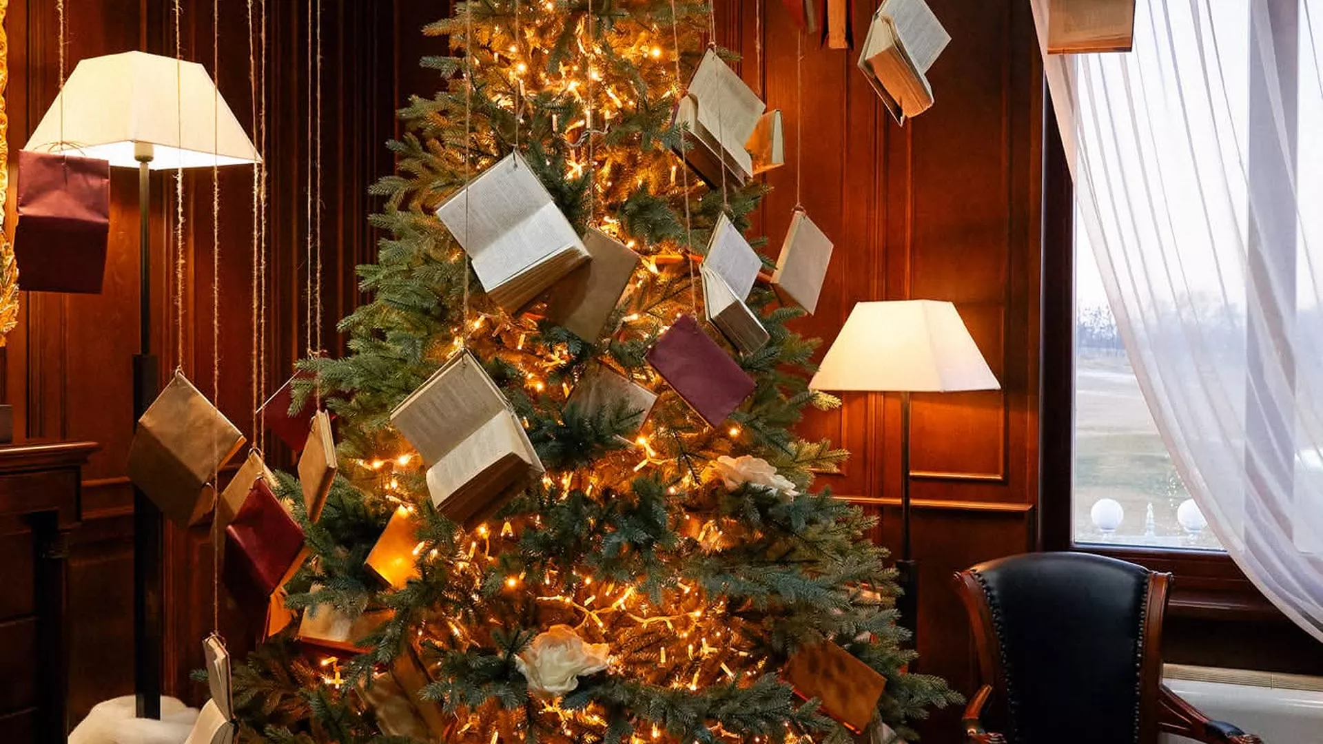 trip inroduction image