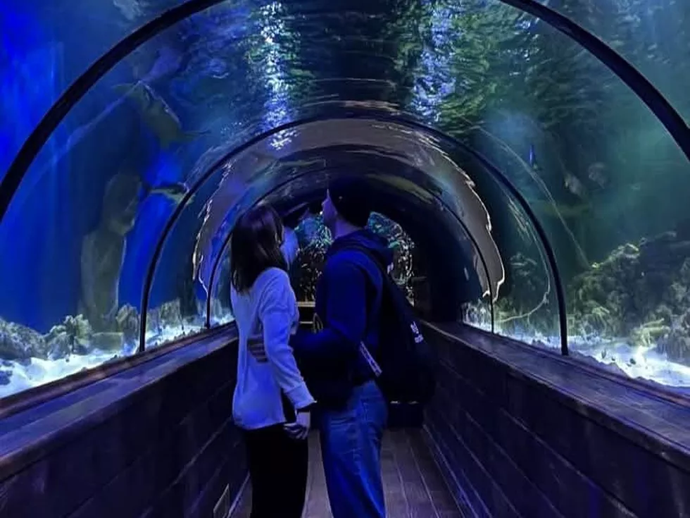 travel program image