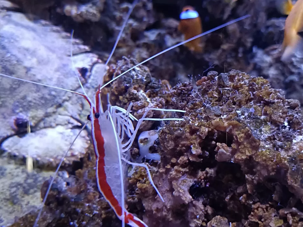 travel program image