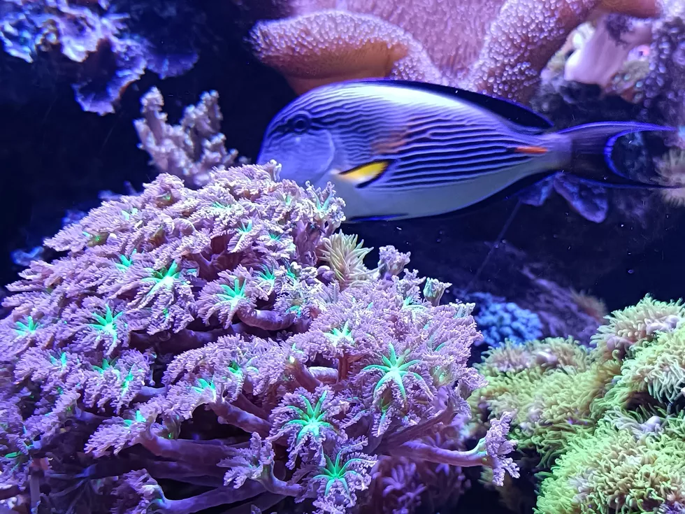 travel program image