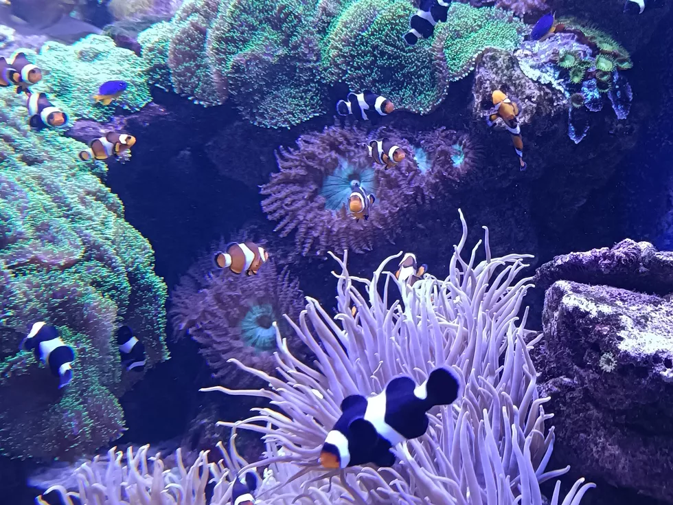 travel program image