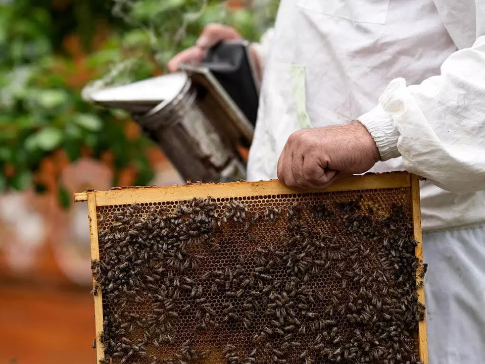 travel program image