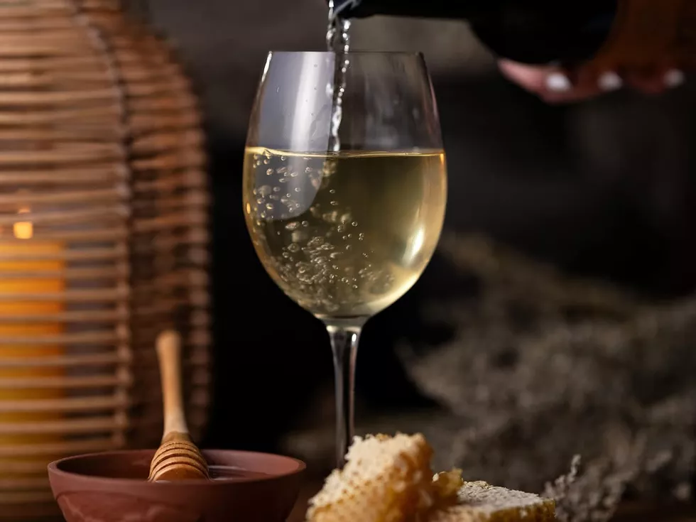 travel program image