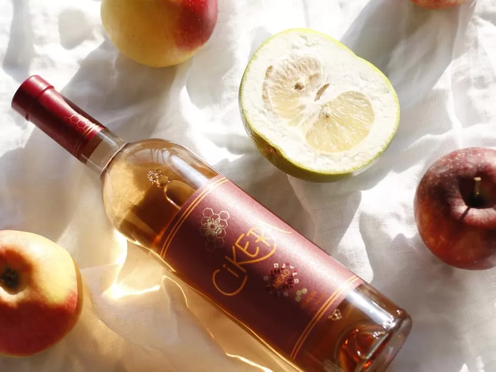 travel program image