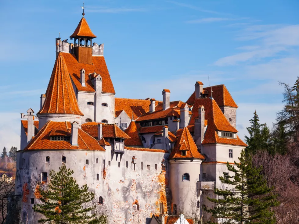 travel program image