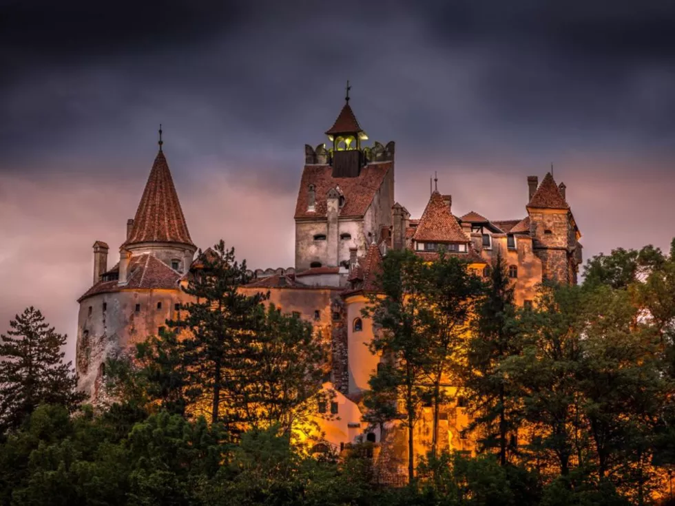 travel program image