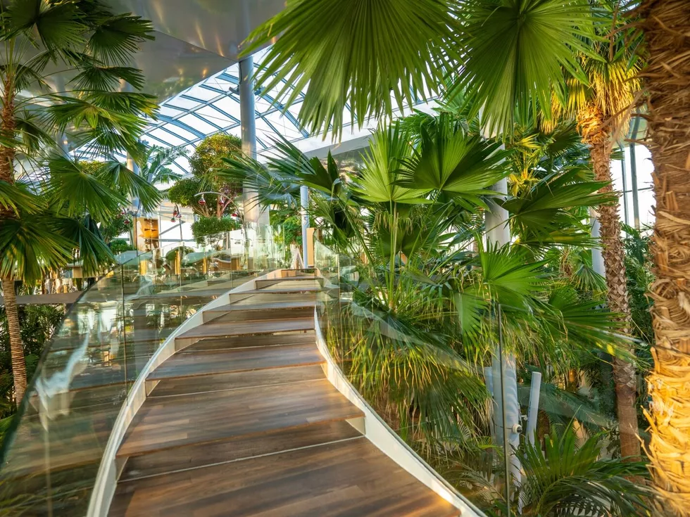 travel program image