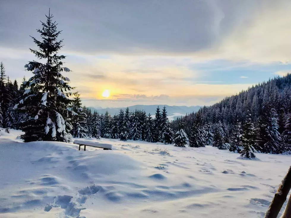 travel program image