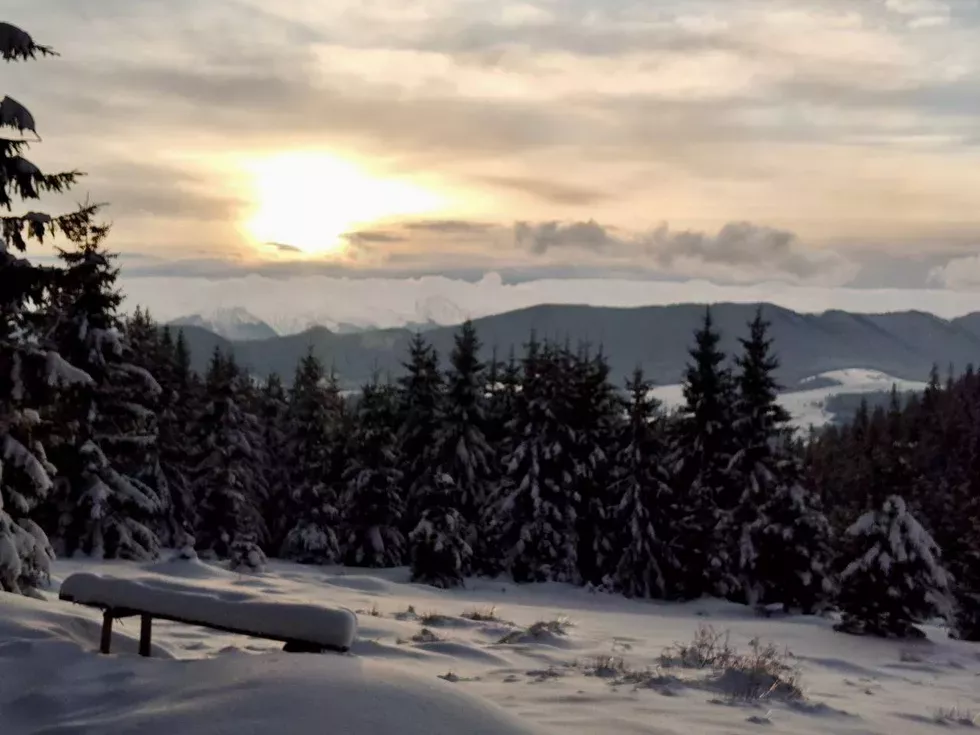 travel program image