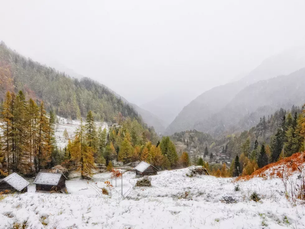 travel program image