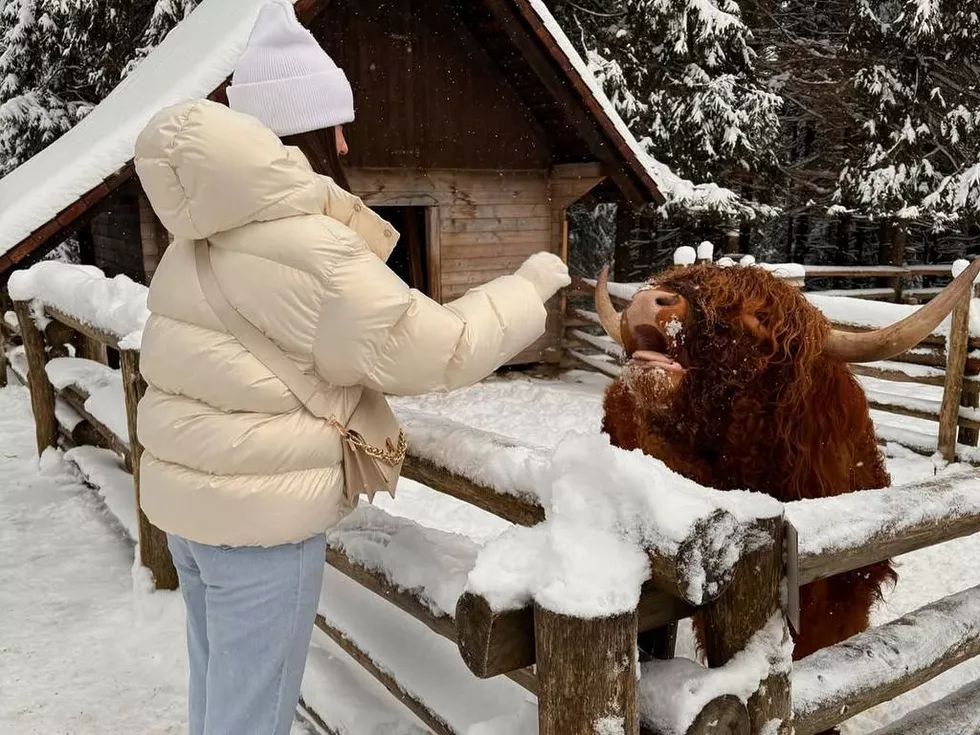 travel program image