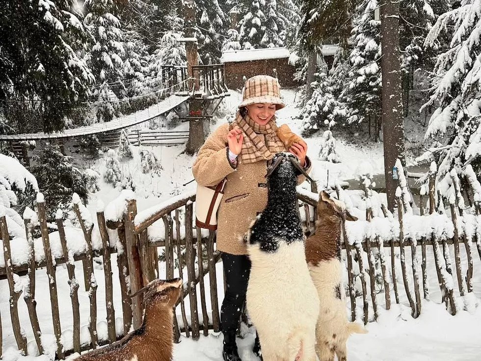 travel program image