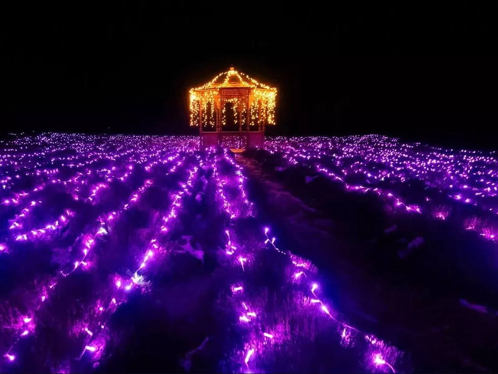 travel program image