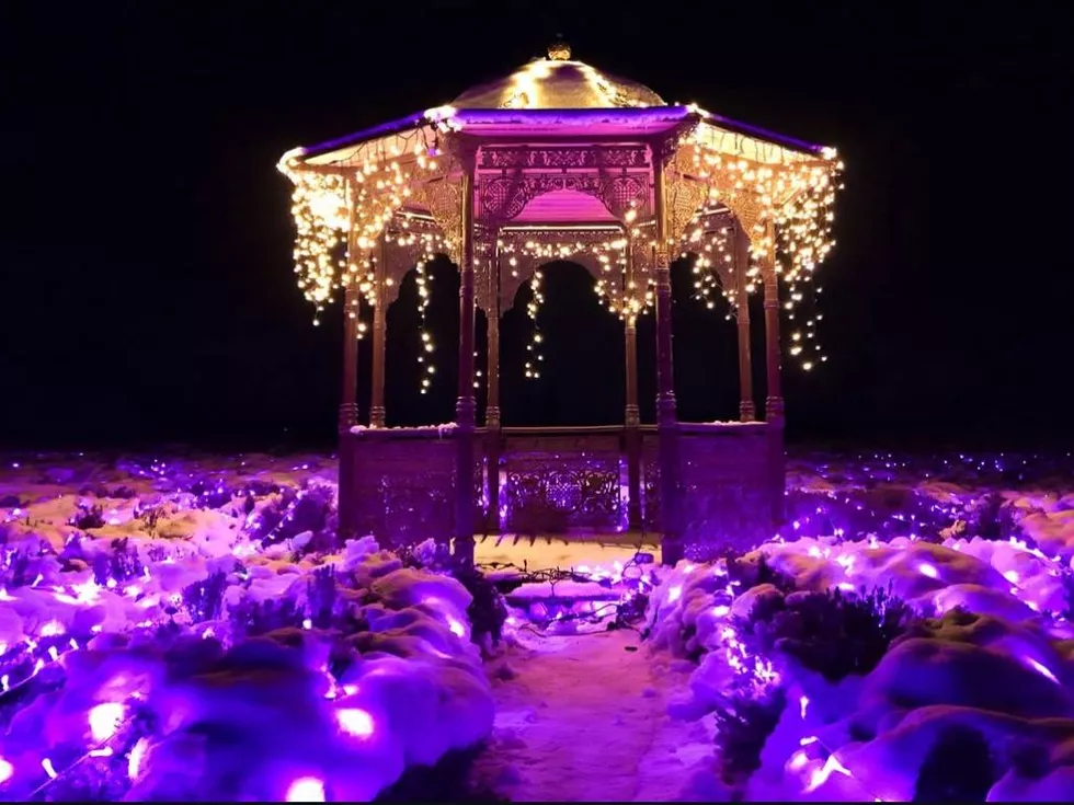 travel program image