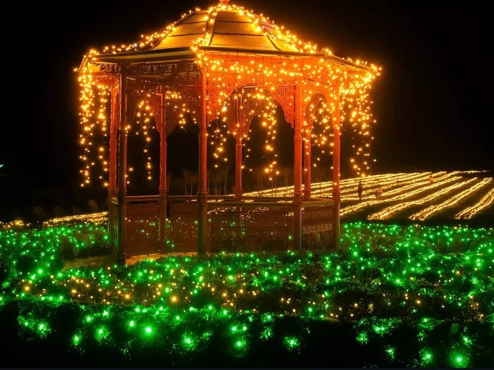 travel program image