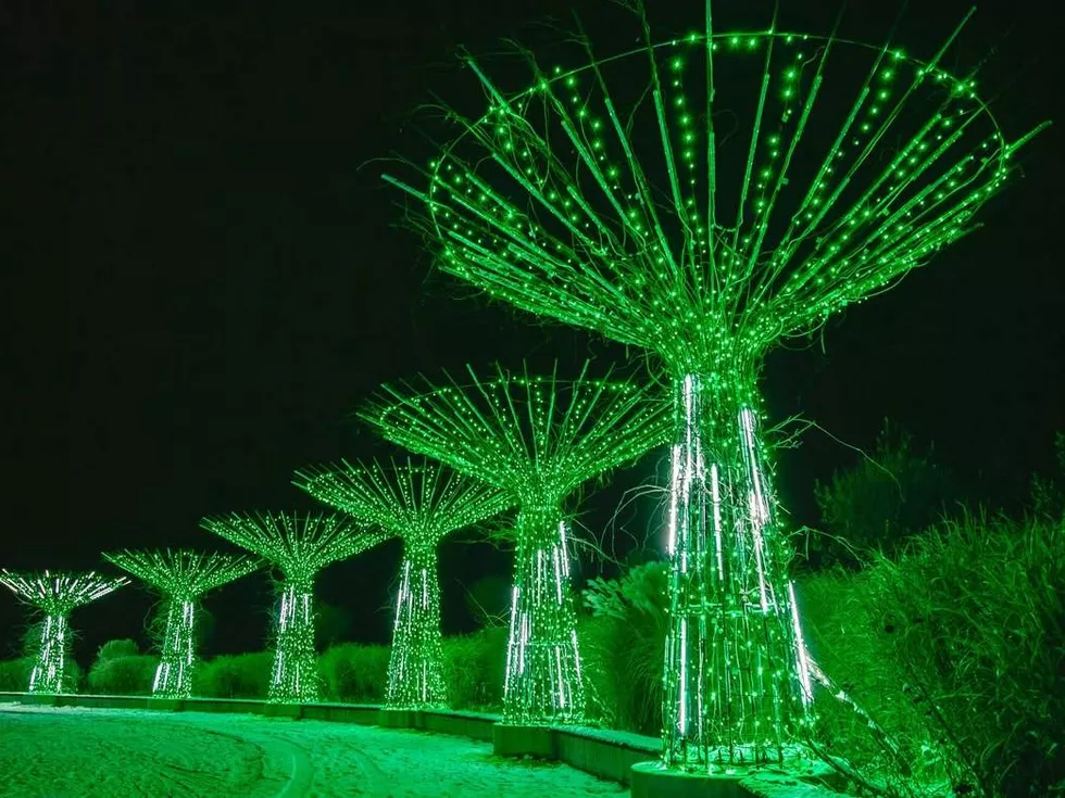 travel program image