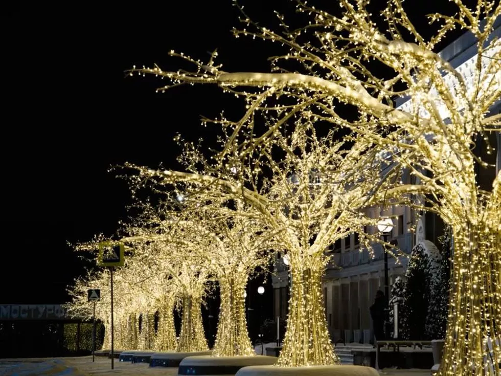 travel program image