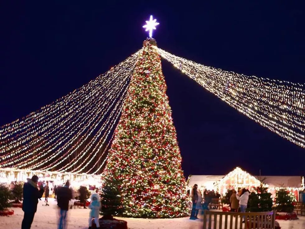 travel program image