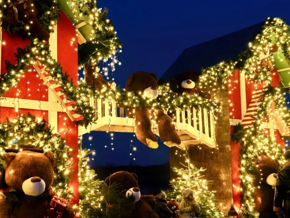 travel program image