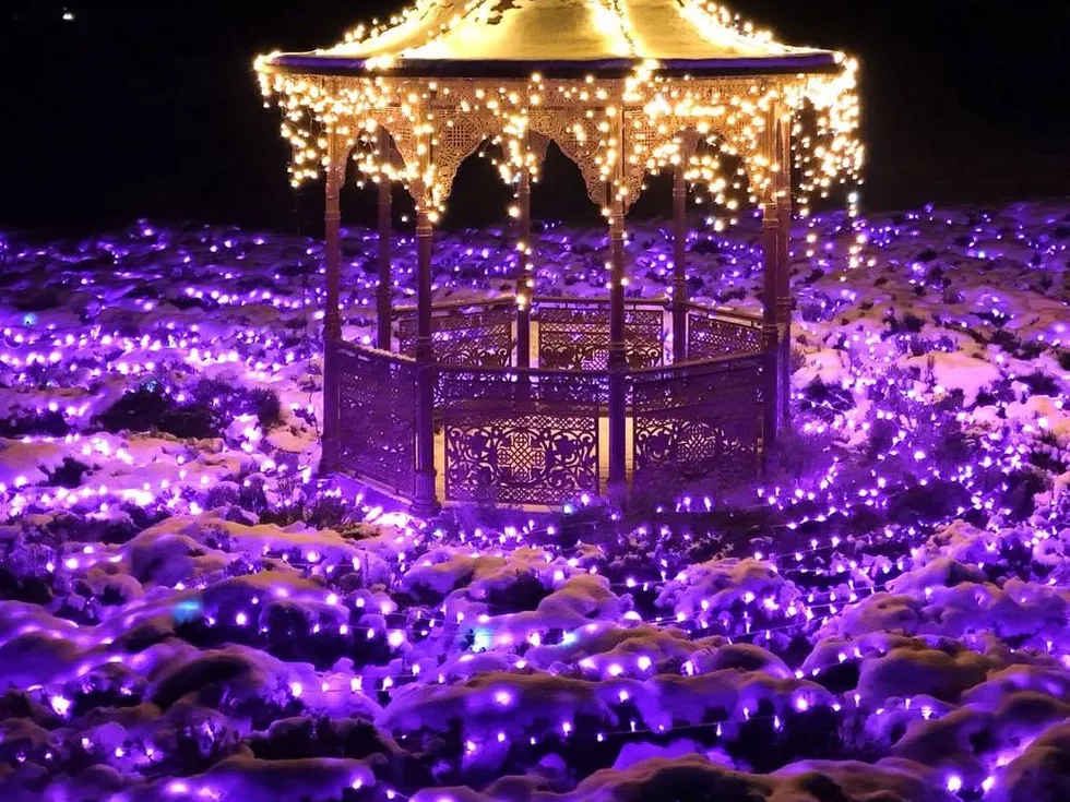 travel program image